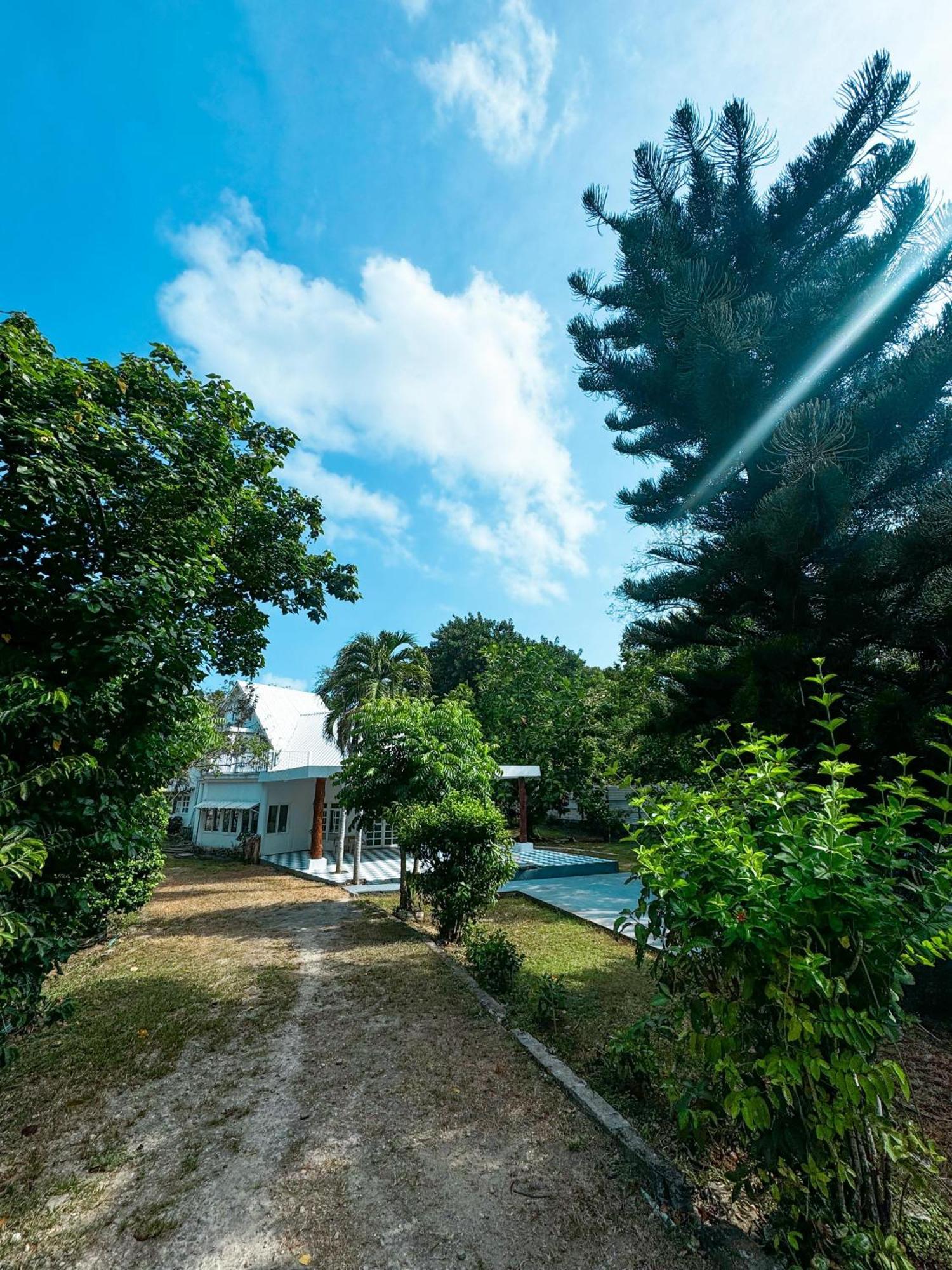 In Di Woods House San Andrés